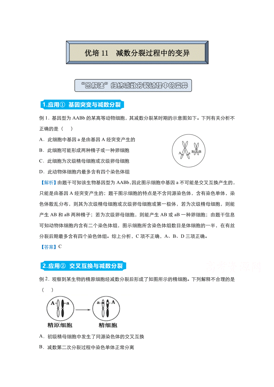 2021届高考生物（统考版）二轮备考提升指导与精练11 减数分裂过程中的变异 WORD版含解析.doc_第1页