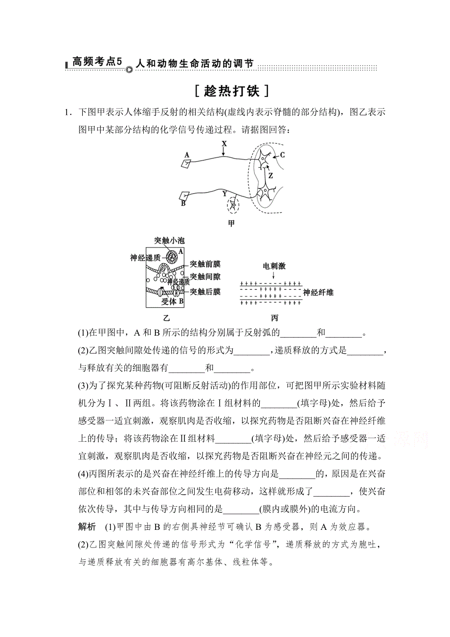 《精品》通关2-高频考点5 WORD版含答案.doc_第1页