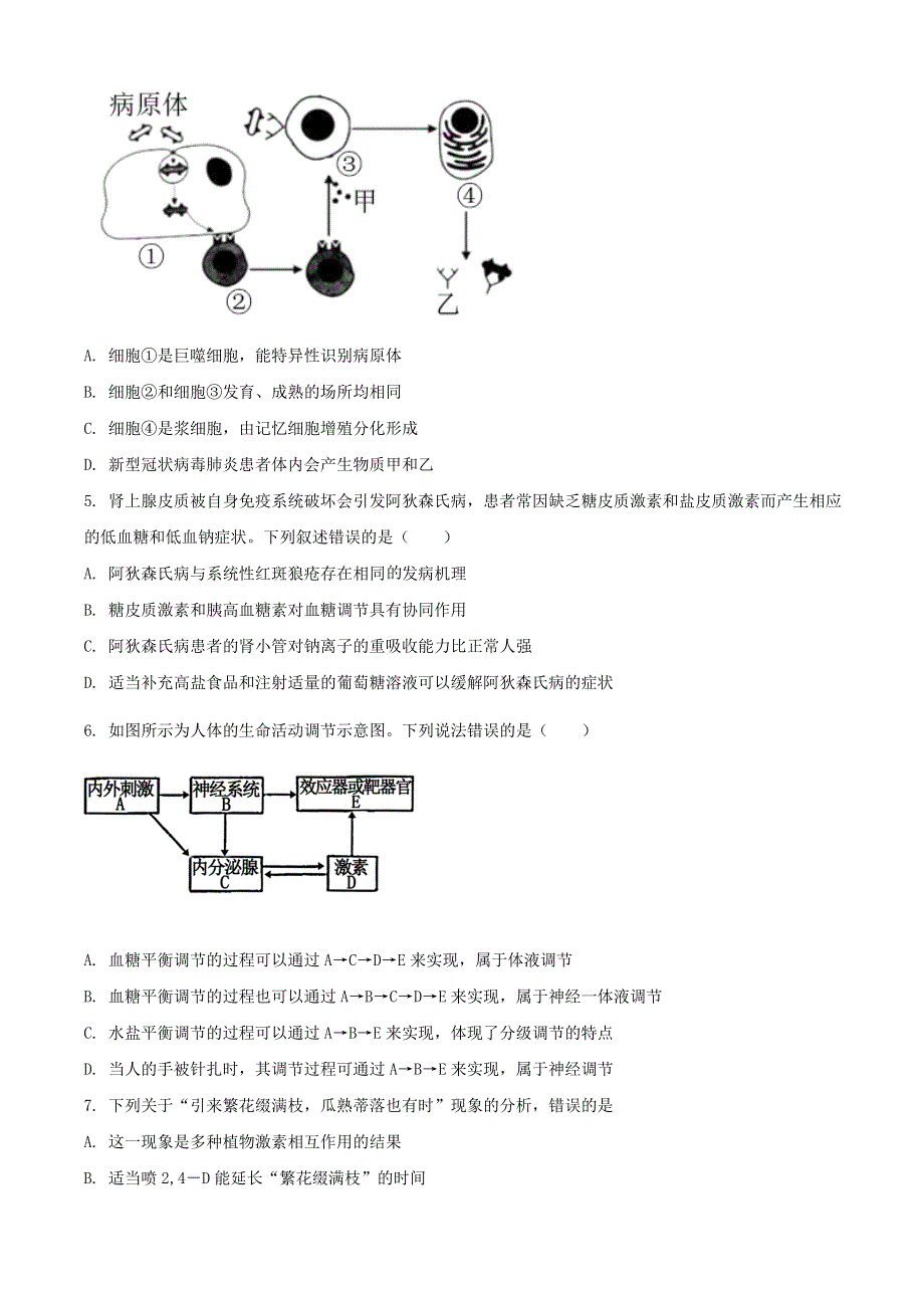 山东省泰安市2020-2021学年高二生物上学期期末考试试题.doc_第2页