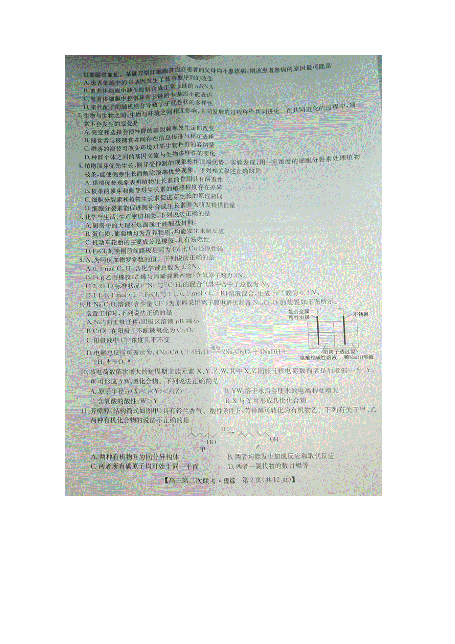 全国联考2019届高三上学期第二次联考理科综合试卷 WORD版缺答案.doc_第2页