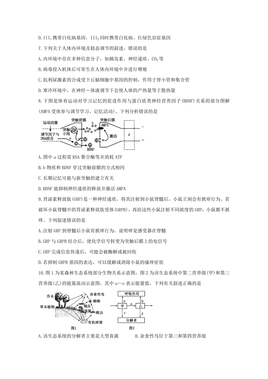 山东省泰安市2020届高三生物一轮检测（一模）试题.doc_第3页