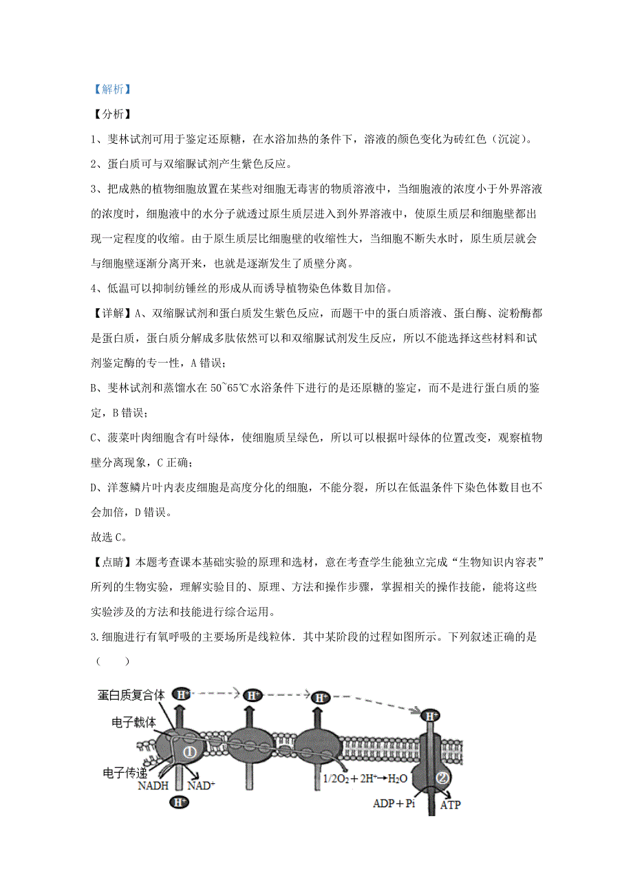 山东省泰安市2020届高三生物4月多校联考试题（含解析）.doc_第2页