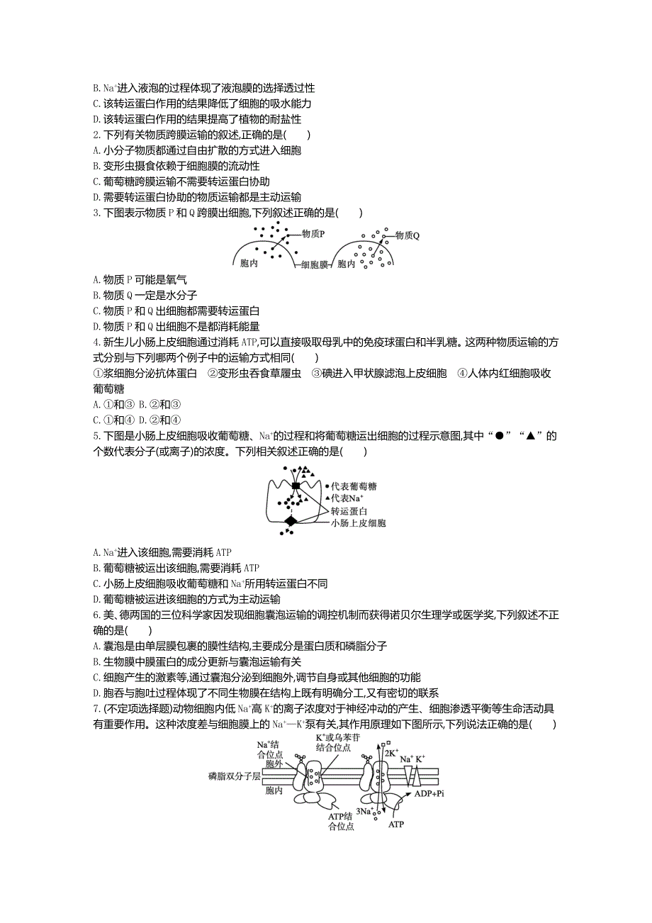 2020-2021学年新教材生物人教版必修第一册 4-2主动运输与胞吞、胞吐 学案1 WORD版含答案.doc_第3页