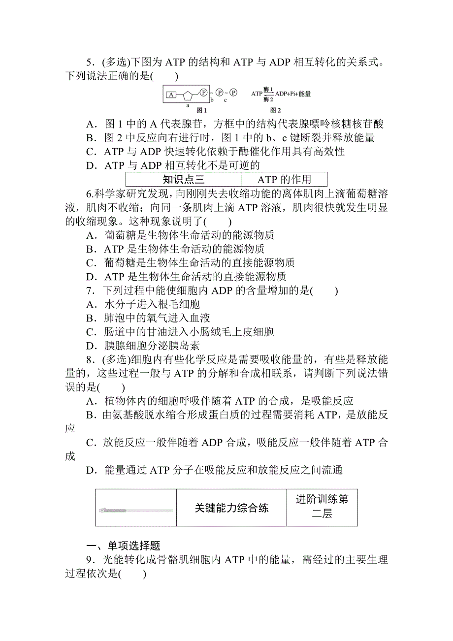 2020-2021学年新教材生物人教版必修第一册层级训练：5-2 细胞的能量“货币”ATP WORD版含解析.doc_第2页