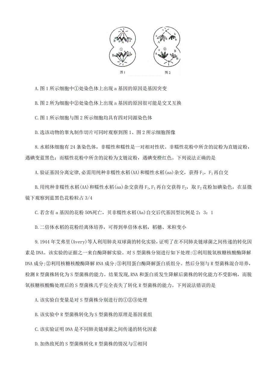 山东省泰安市2021届高三生物上学期期末考试试题.doc_第3页