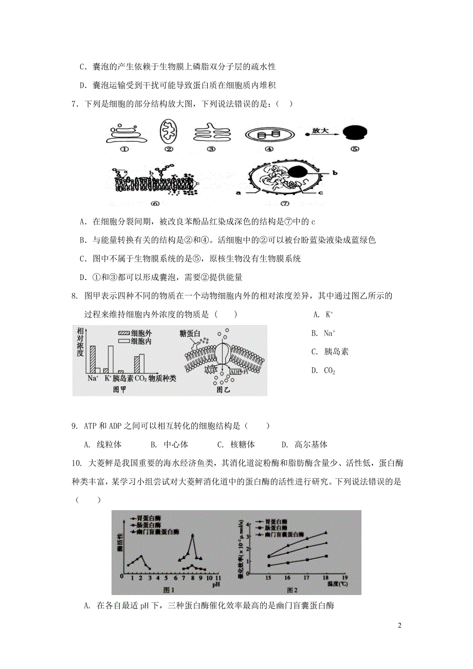 吉林省长春市第十一中学2021届高三生物上学期第二学程考试试题.doc_第2页