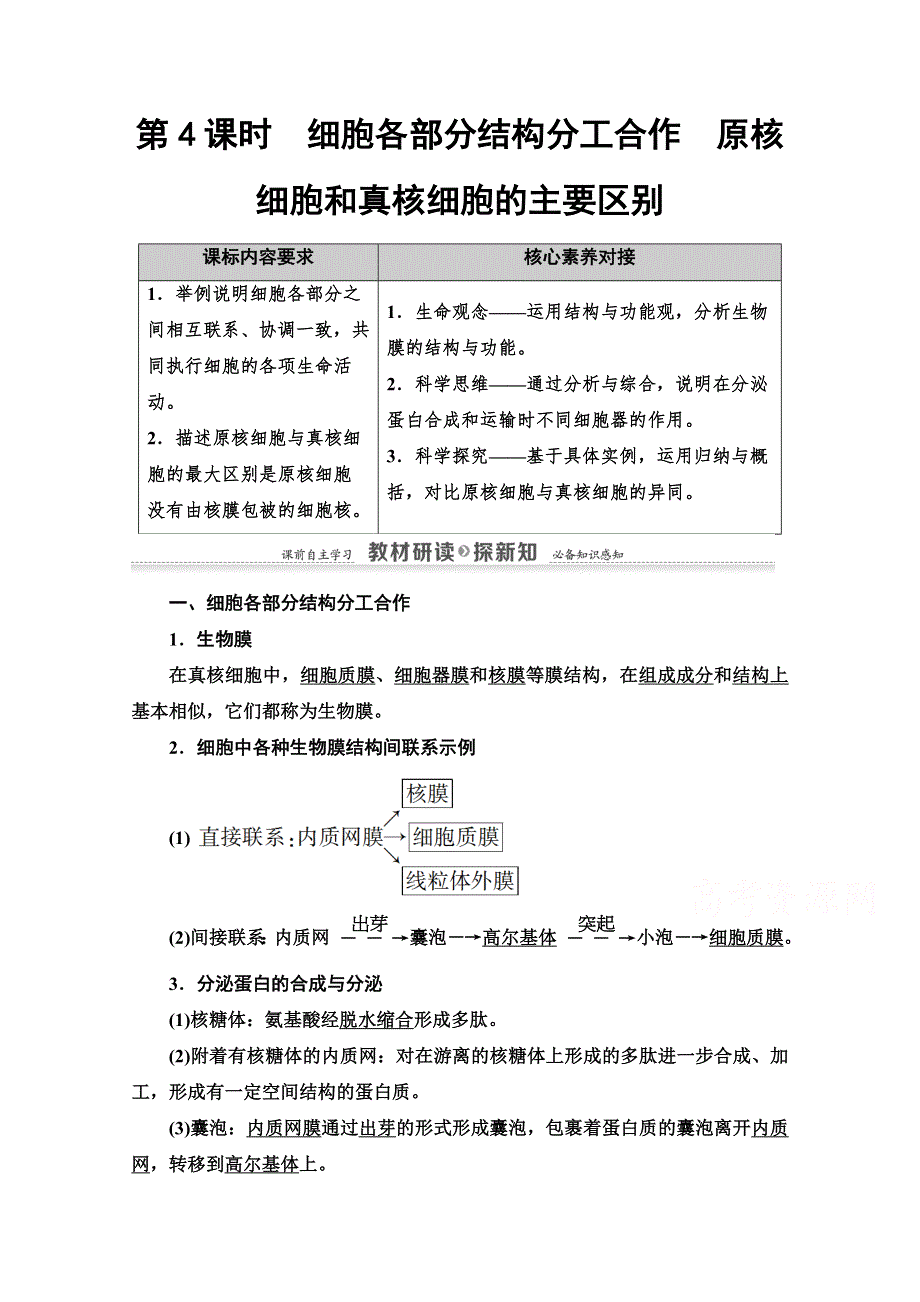 2020-2021学年新教材生物苏教版必修一教案：第2章 第2节　第4课时　细胞各部分结构分工合作　原核细胞和真核细胞的主要区别 WORD版含解析.doc_第1页