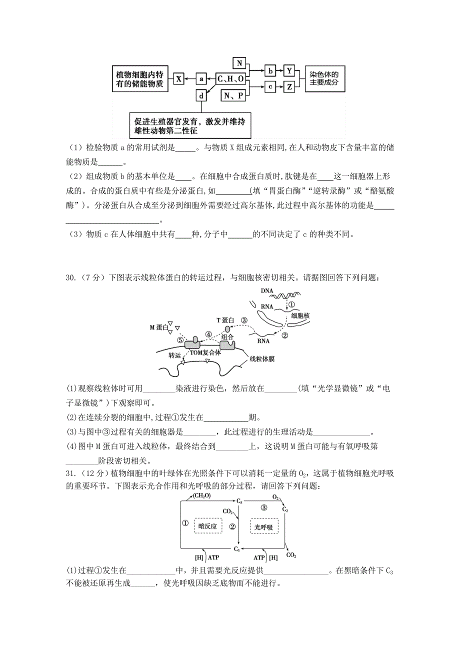 四川省绵阳市南山中学2021届高三生物9月月考试题.doc_第2页