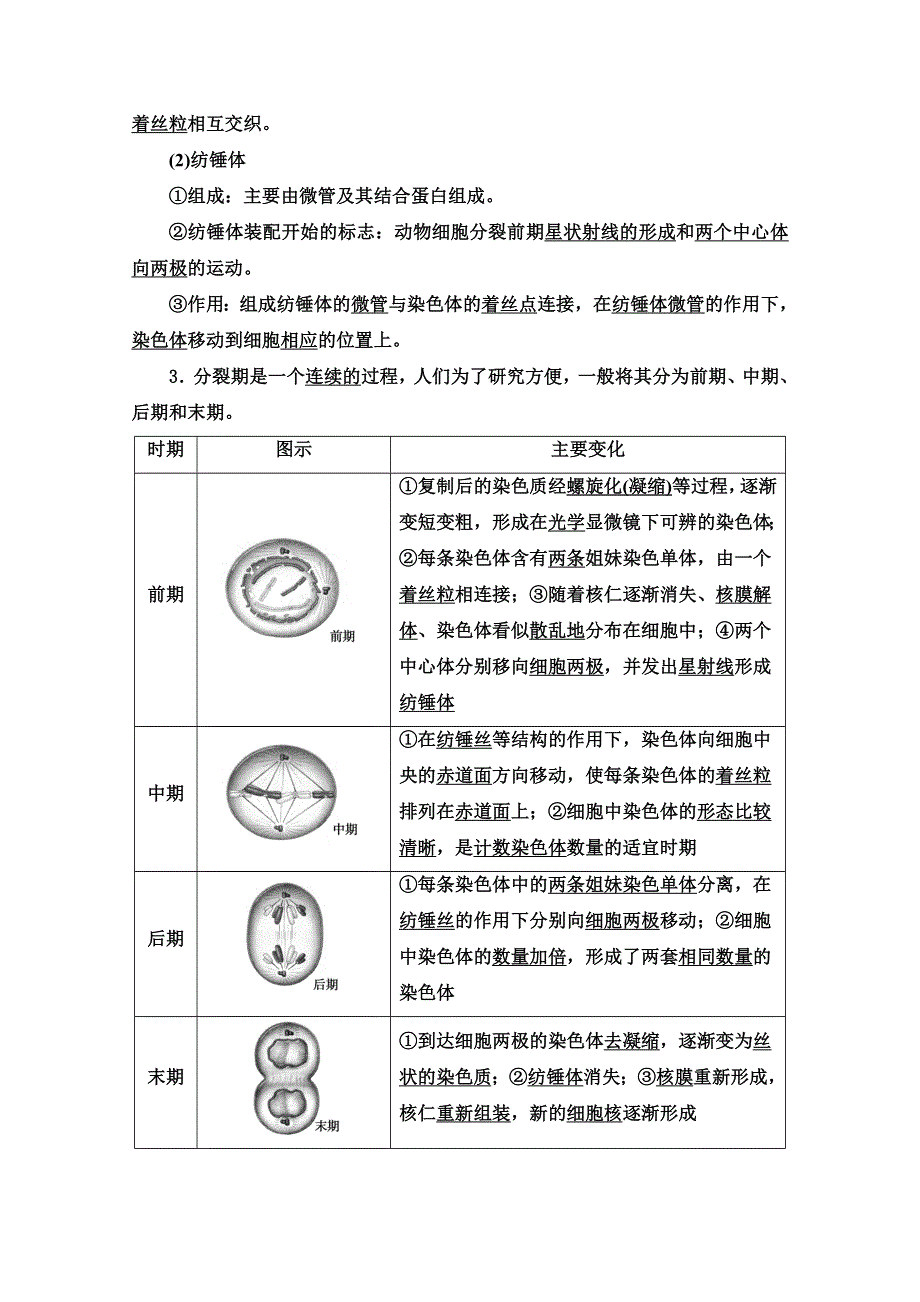 2020-2021学年新教材生物苏教版必修一教案：第4章 第1节　第1课时　细胞增殖和有丝分裂 WORD版含解析.doc_第3页