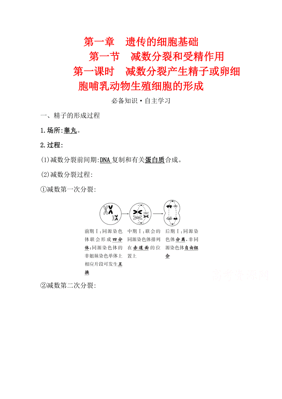 2020-2021学年新教材生物苏教版必修第二册学案：1-1-1减数分裂产生精子或卵细胞哺乳动物生殖细胞的形成 WORD版含解析.doc_第1页