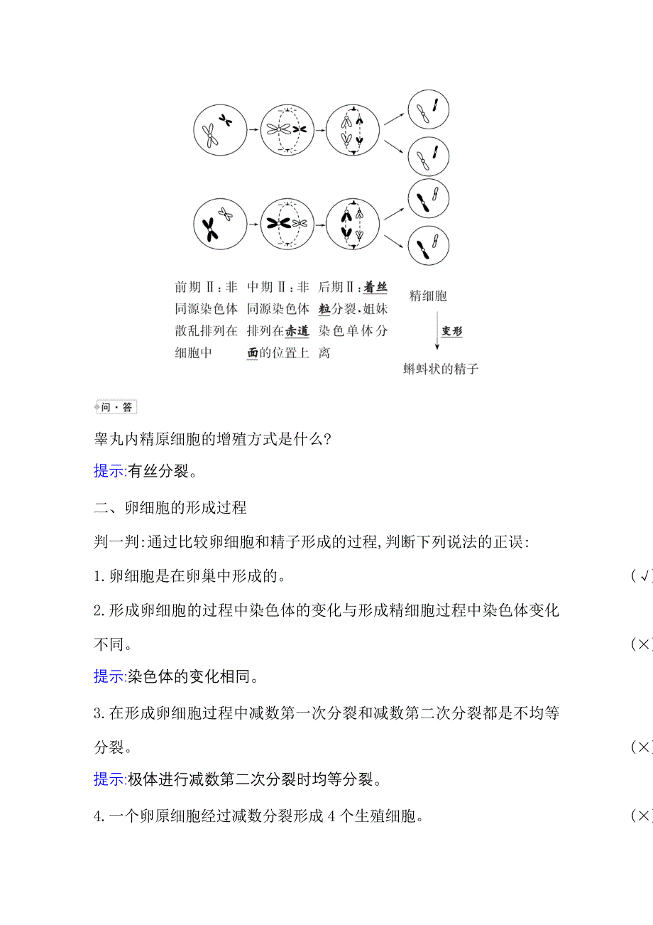 2020-2021学年新教材生物苏教版必修第二册学案：1-1-1减数分裂产生精子或卵细胞哺乳动物生殖细胞的形成 WORD版含解析.doc_第2页