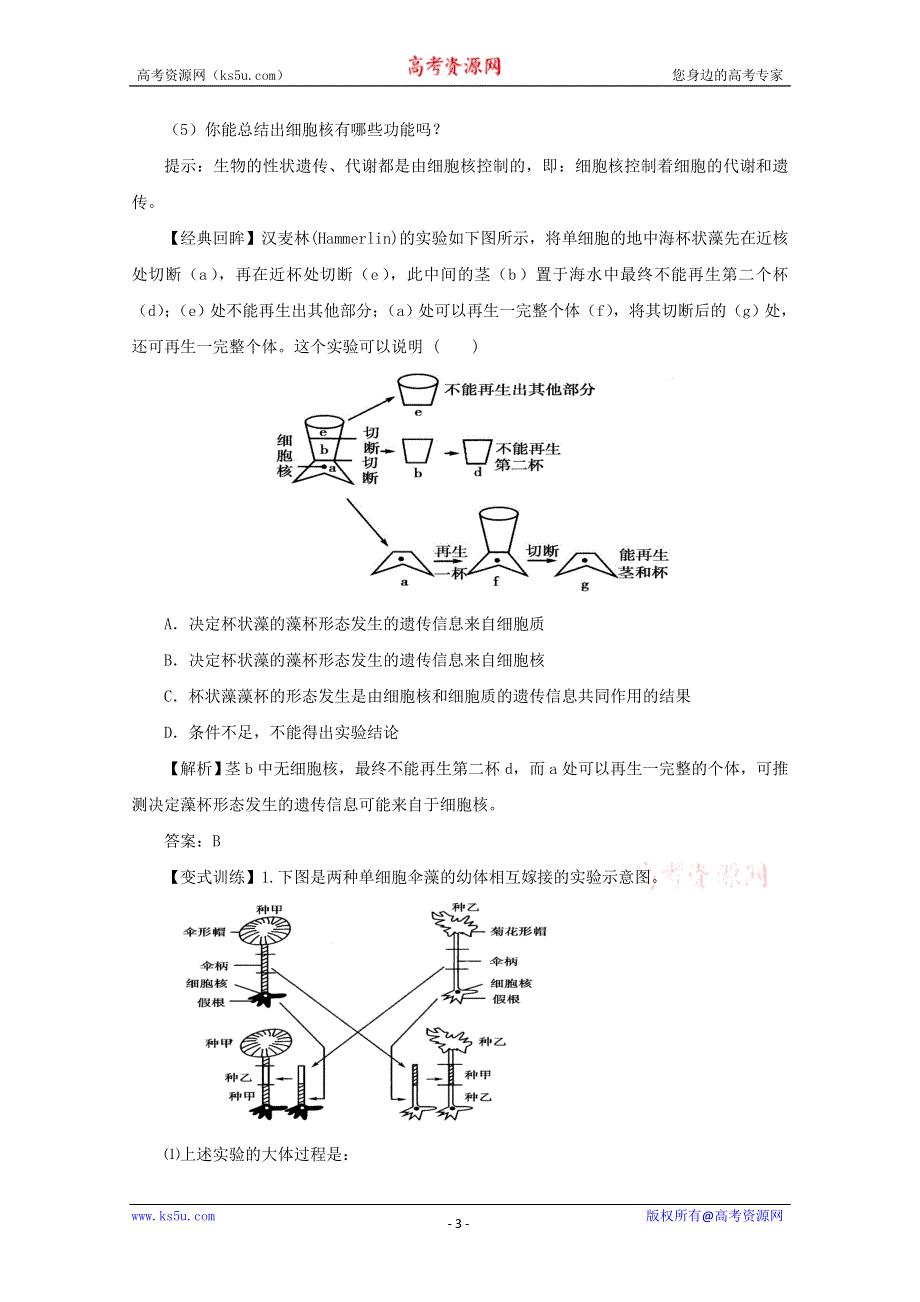 2014--2015学年生物（新人教版）必修一同步导学案3.3细胞核——系统的控制中心.doc_第3页