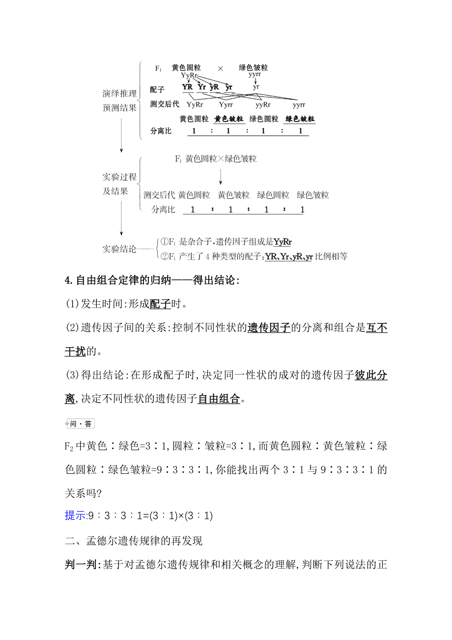 2020-2021学年新教材生物苏教版必修第二册学案：1-3自由组合定律 WORD版含解析.doc_第3页