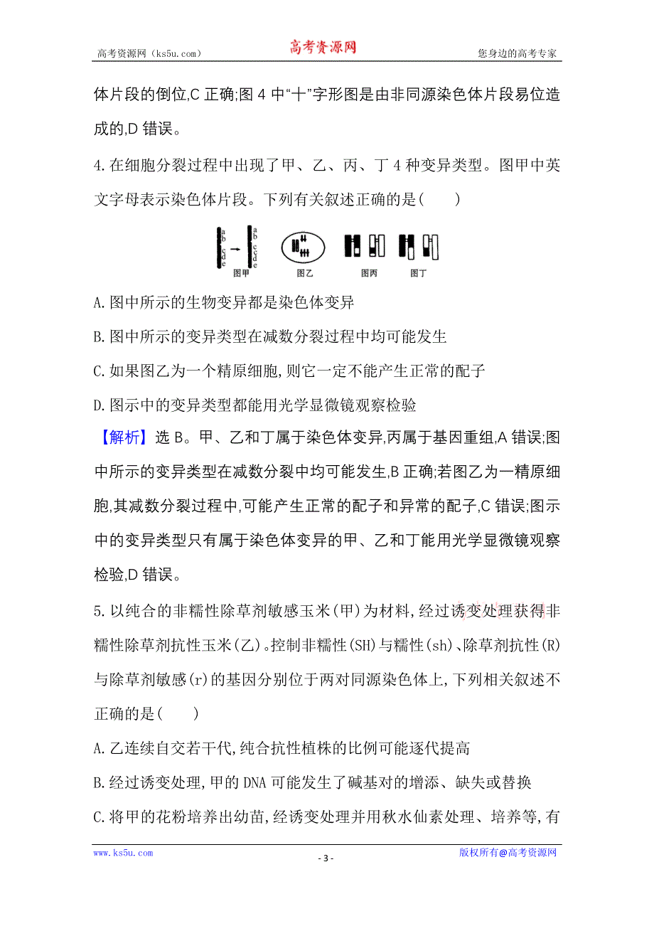 2020-2021学年新教材生物苏教版必修第二册素养评价检测：重点强化训练（五） WORD版含解析.doc_第3页