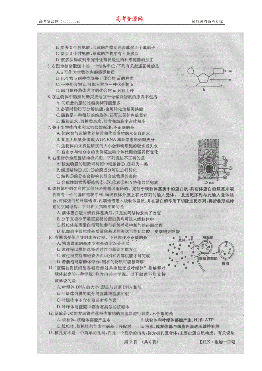 全国大联考2016届高三上学期第一次联考生物试卷 扫描版含答案.doc_第2页