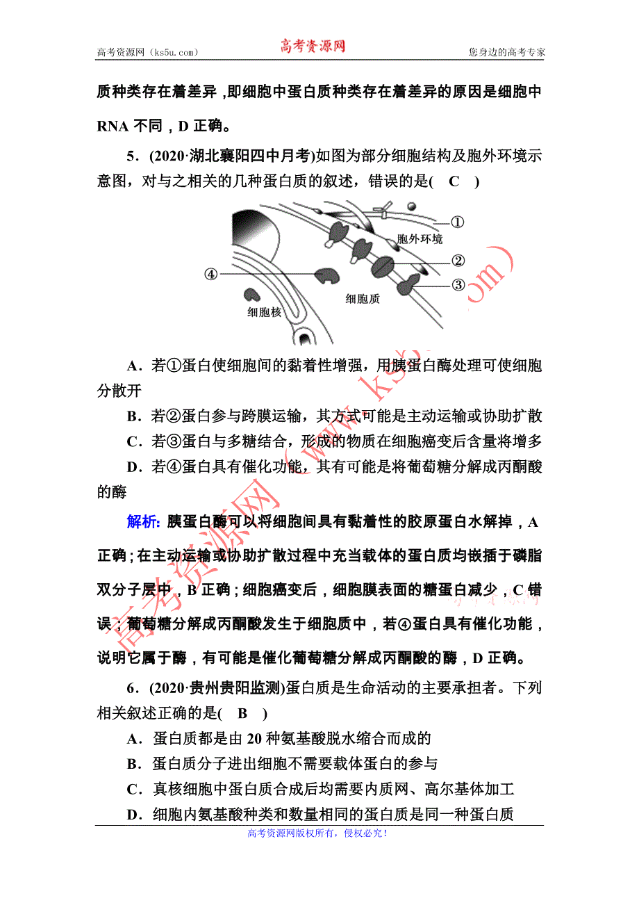 2021届高考生物人教版大一轮总复习课时作业第3讲　生命活动的主要承担者——蛋白质 WORD版含解析.DOC_第3页