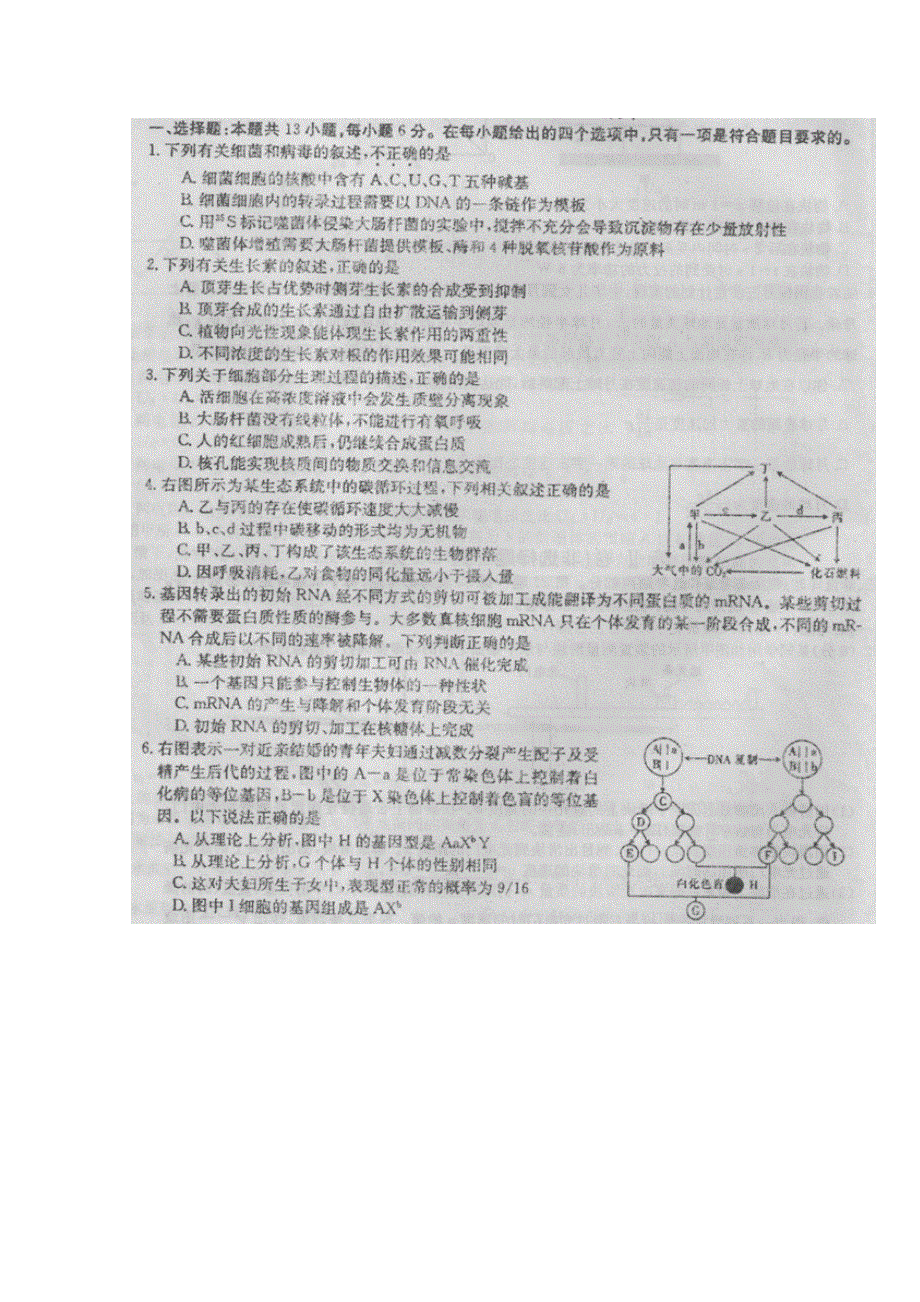 全国大联考2016届高三第四次联考理科综合试卷生物部分 扫描版含答案.doc_第1页