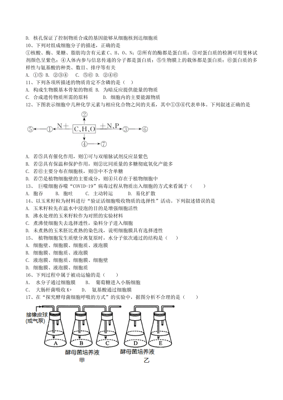 吉林省长春市第一五一中学2020-2021学年高一生物下学期寒假验收试题.doc_第2页