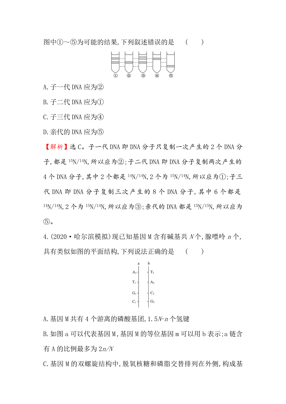 2021届高考生物人教通用一轮复习方略核心素养测评 十八 6-2 DNA分子的结构、复制和基因的本质 WORD版含解析.doc_第3页