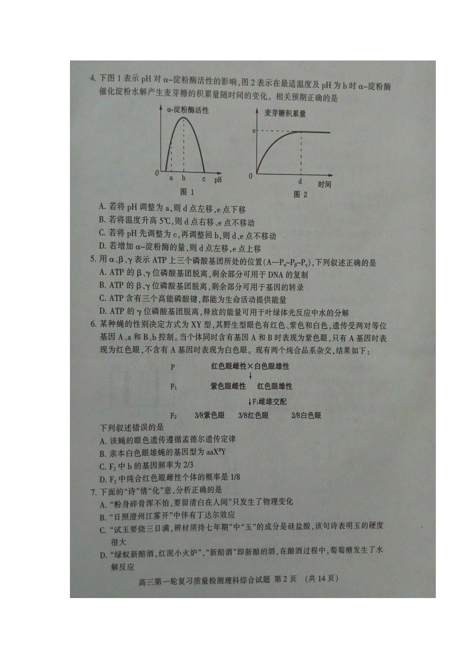 山东省泰安市2017届高三第一轮复习质量检测（一模）理科综合试题 扫描版缺答案.doc_第2页