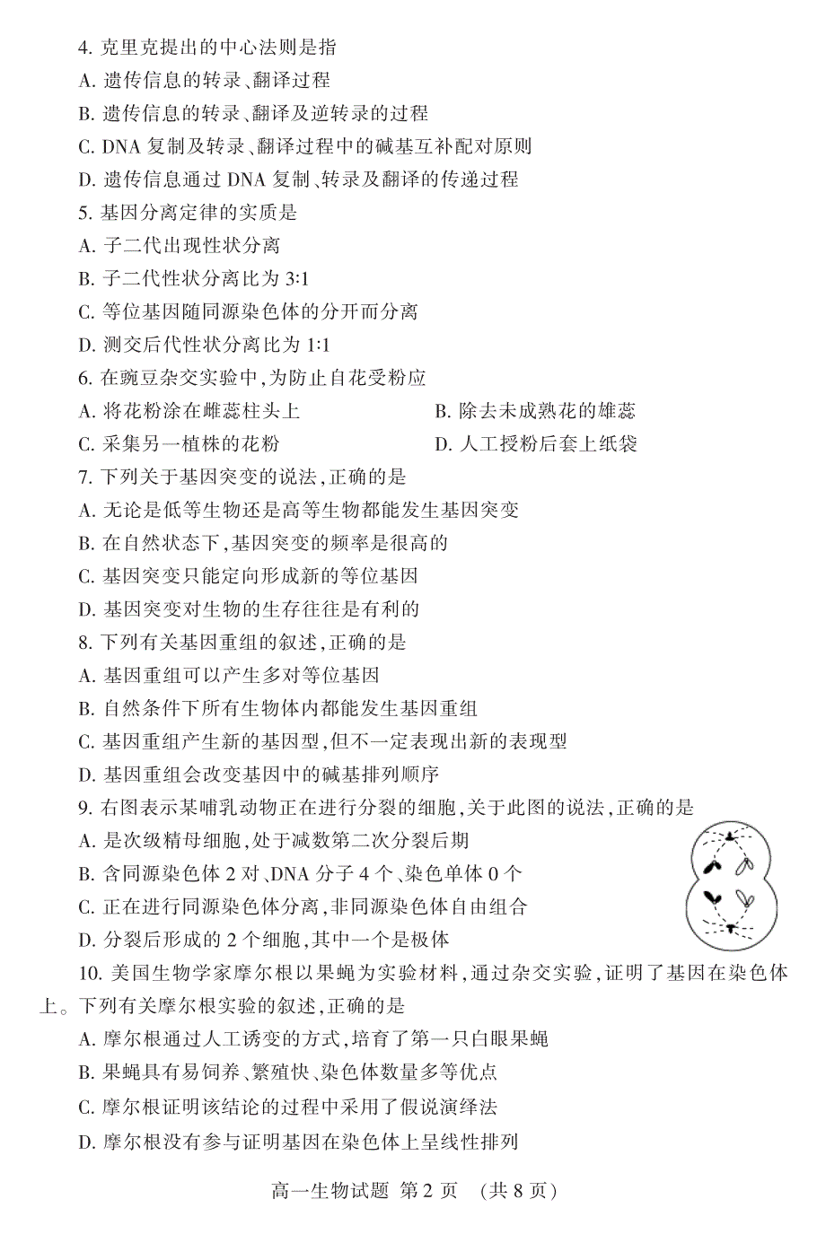 山东省泰安市2018-2019学年高一下学期期末考试生物试题 PDF版含答案.pdf_第2页