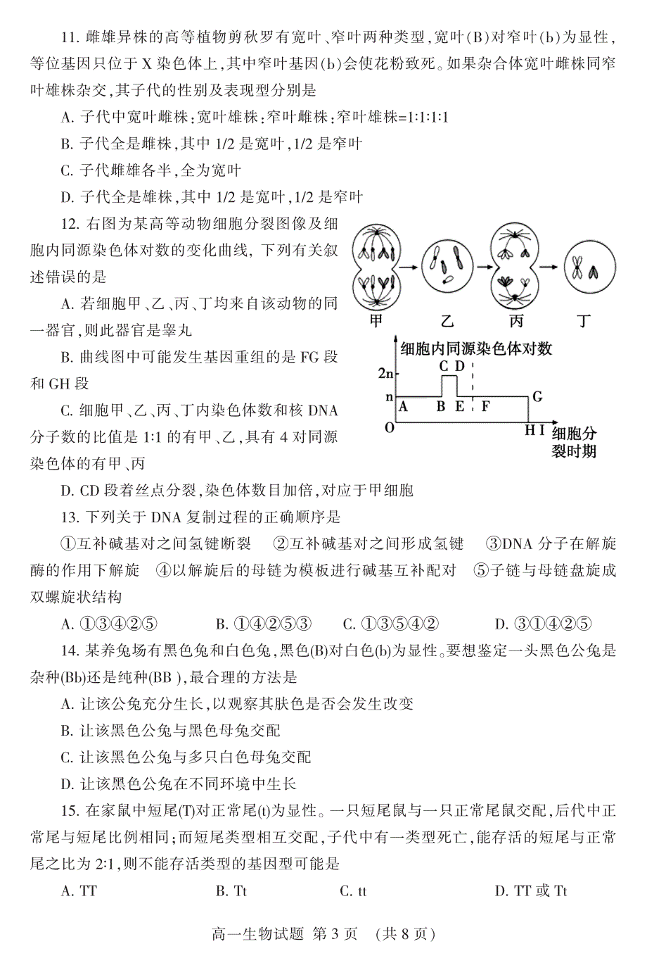 山东省泰安市2018-2019学年高一下学期期末考试生物试题 PDF版含答案.pdf_第3页