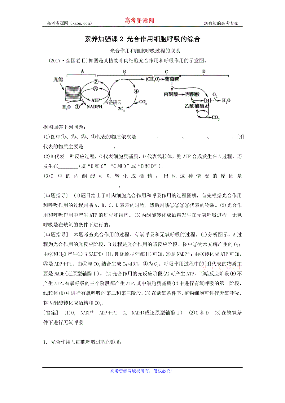 2021届高考生物新人教版一轮复习学案：第3单元细胞的能量供应和利用素养加强课2光合作用细胞呼吸的综合 WORD版含答案.doc_第1页