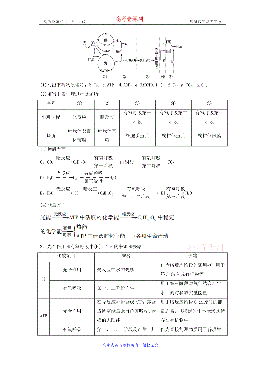 2021届高考生物新人教版一轮复习学案：第3单元细胞的能量供应和利用素养加强课2光合作用细胞呼吸的综合 WORD版含答案.doc_第2页