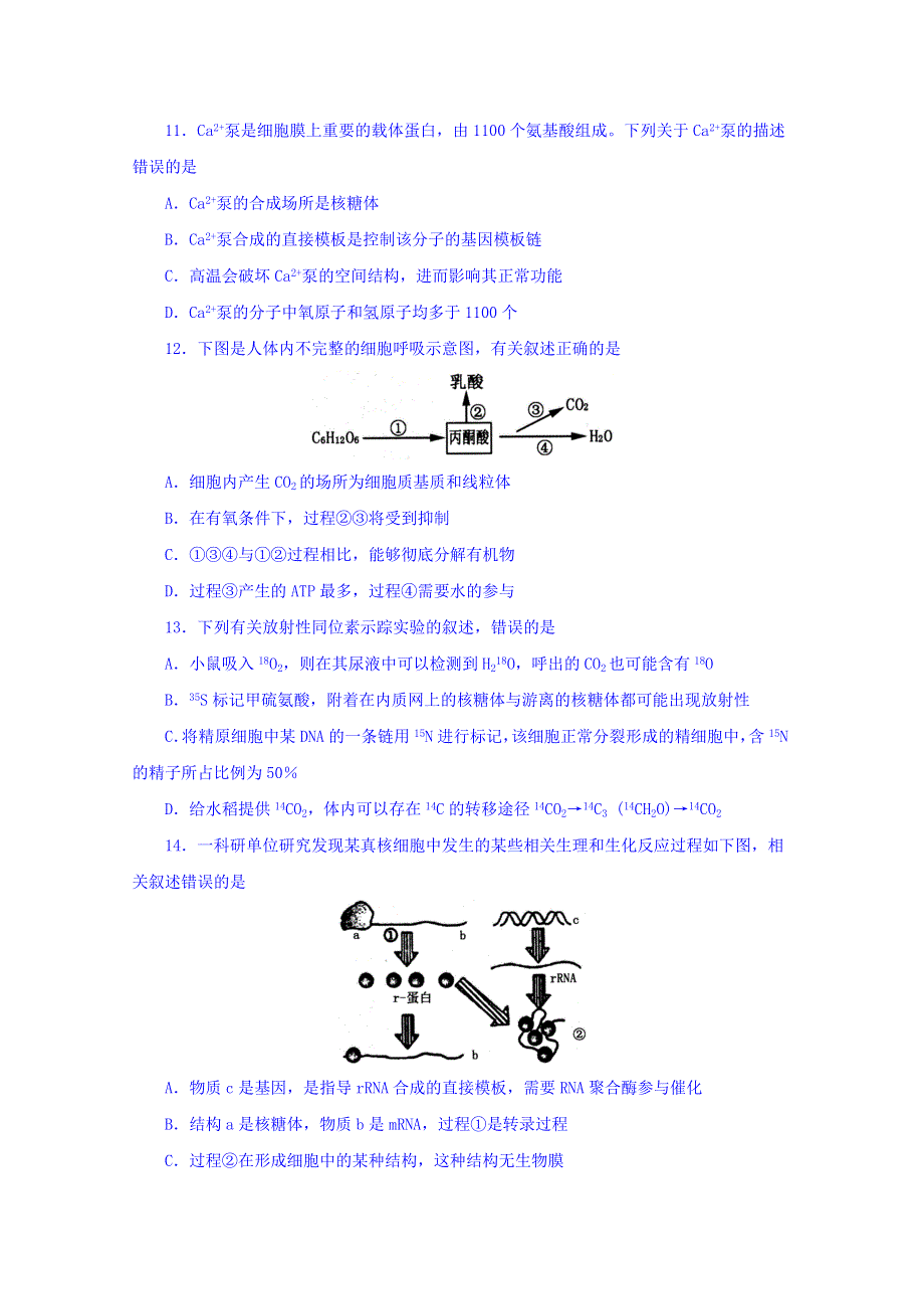 山东省泰安市2018届高三上学期期末考试生物试题 WORD版含答案.doc_第3页