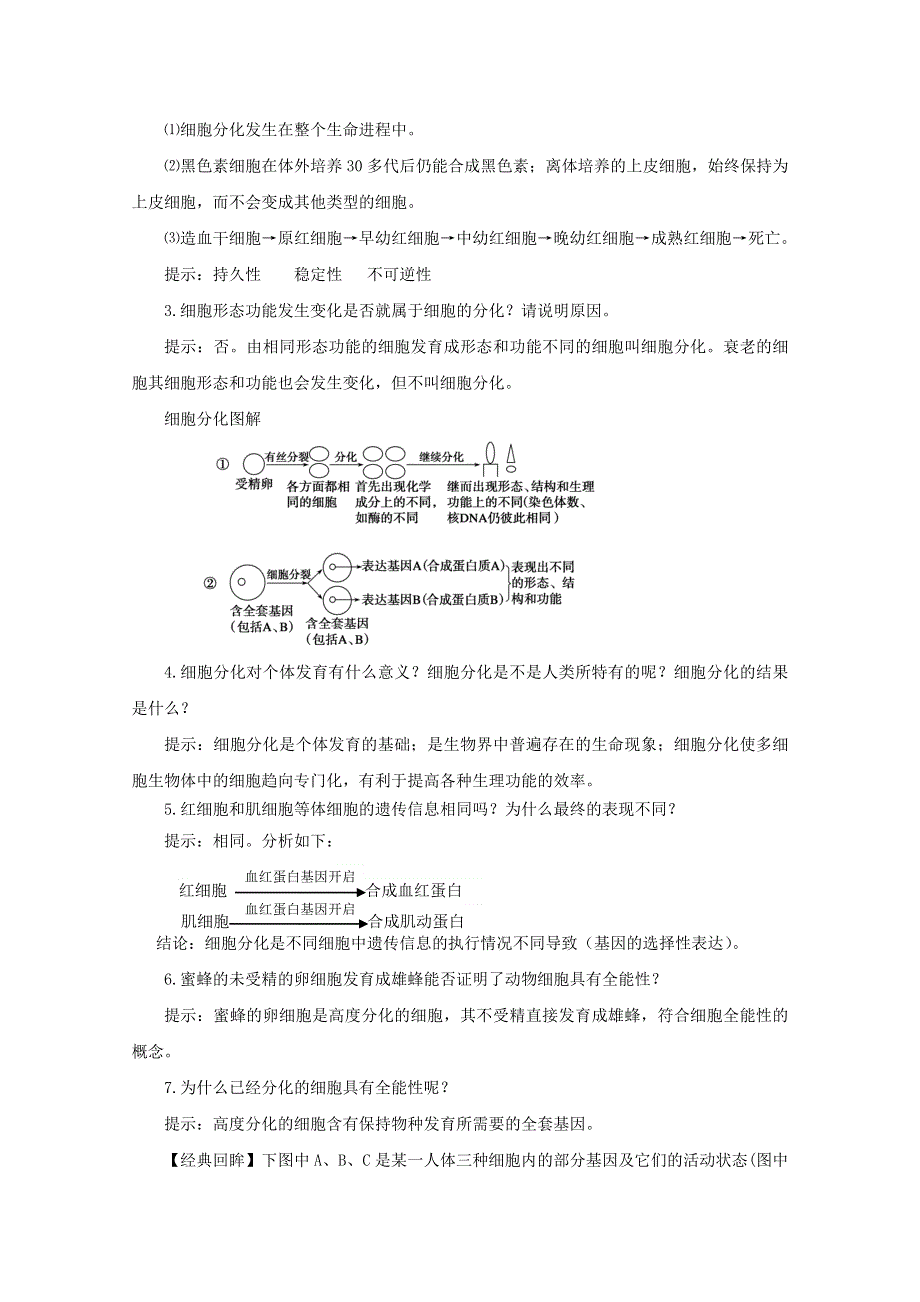 2014--2015学年生物（苏教版）必修一同步导学案5.2.1细胞分化、细胞的全能性.doc_第3页