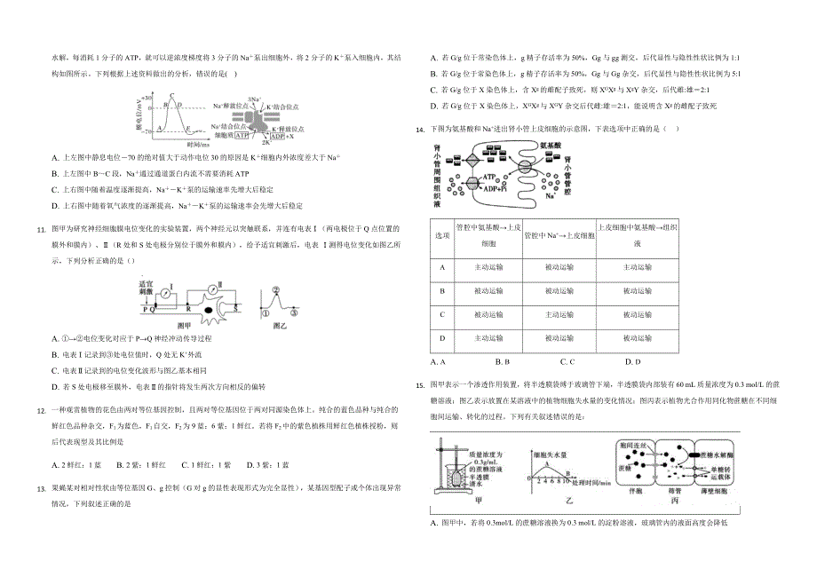 重庆市主城区2021届高三上学期高考适应性试卷（一）生物试题 WORD版含答案.docx_第3页