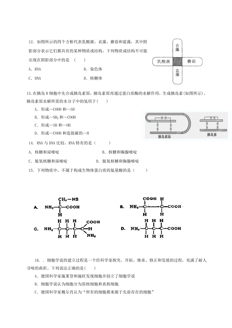 山东省泰安市新泰一中北校区2013-2014学年高一上学期第一次阶段检测生物试题 WORD版含答案.doc_第3页