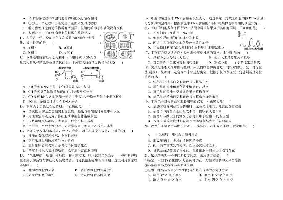 四川省峨眉第二中学2020-2021学年高一下学期4月月考生物试题 WORD版含答案.docx_第2页