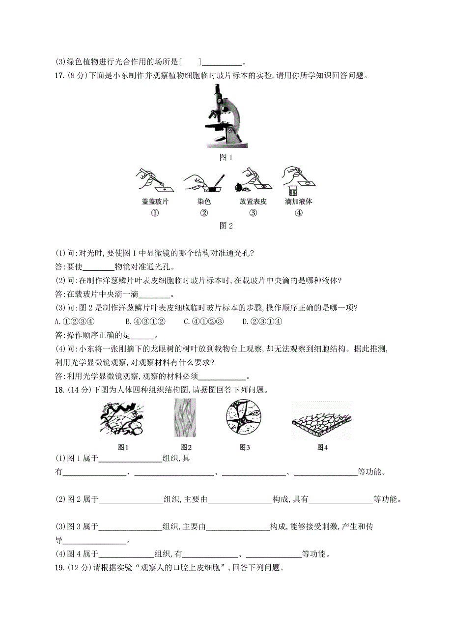 2022七年级生物上册 第2单元 生物体的结构层次测评 （新版）苏教版.docx_第3页