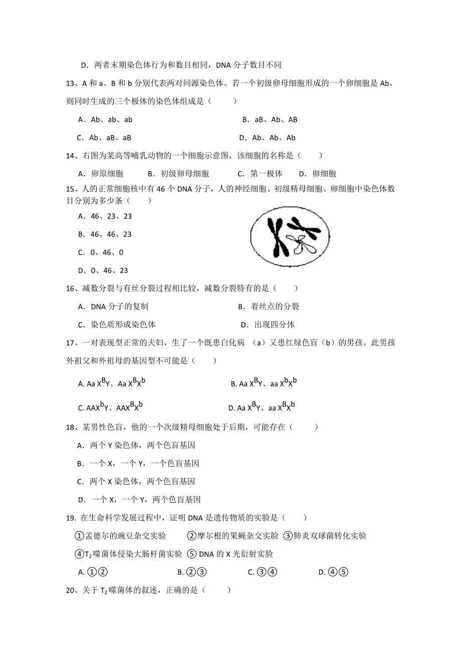 陕西省铜川市耀州中学2014-2015学年高一下学期期中考试生物试题 WORD版无答案.doc_第3页