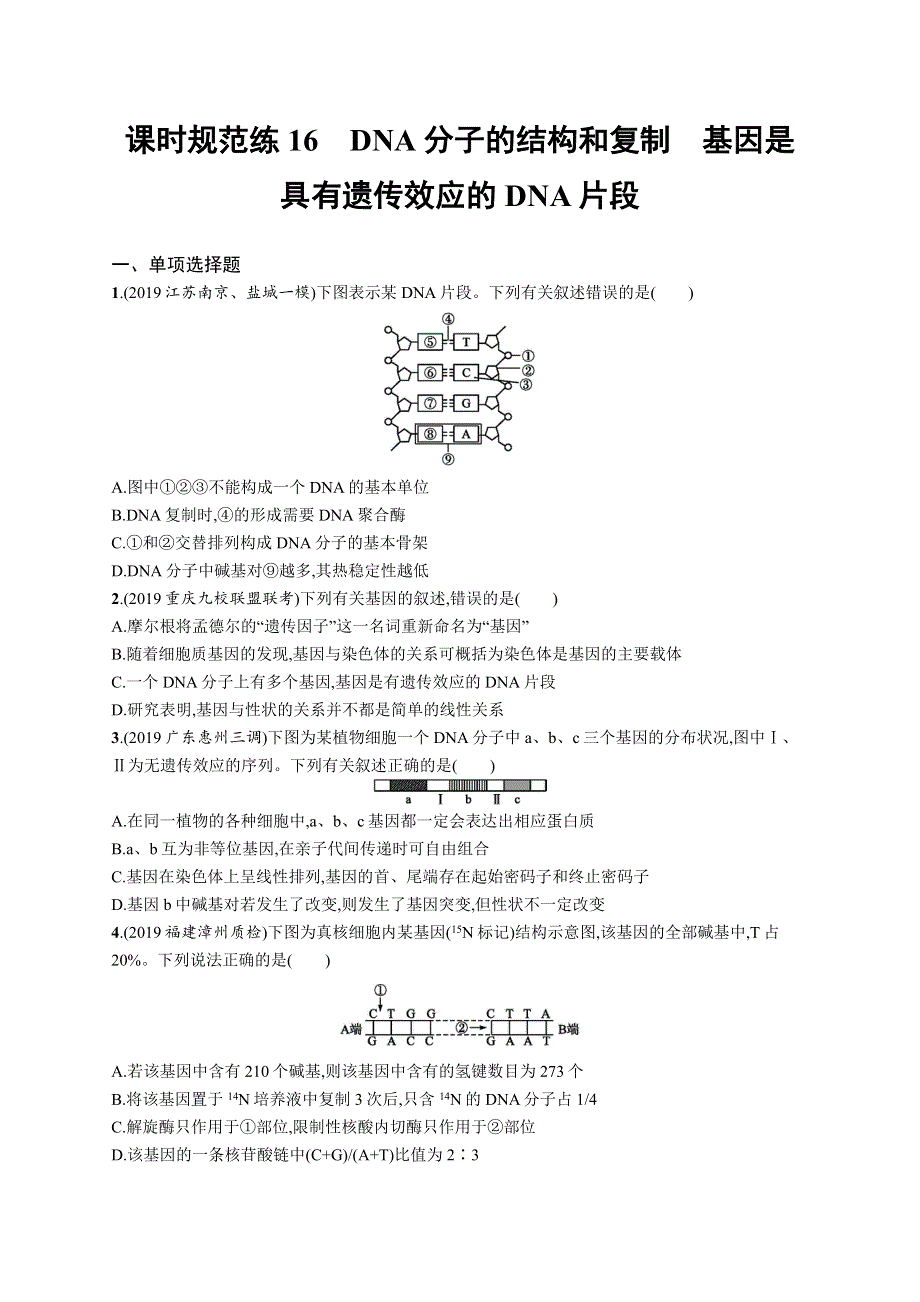 2021版山东新高考生物人教大一轮复习课时规范练16　DNA分子的结构和复制　基因是具有遗传效应的DNA片段 WORD版含解析.docx_第1页