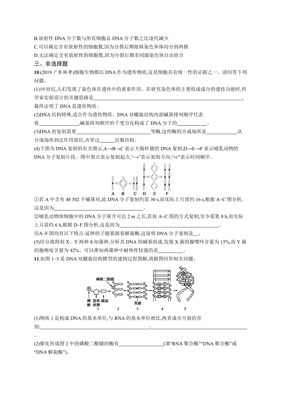 2021版山东新高考生物人教大一轮复习课时规范练16　DNA分子的结构和复制　基因是具有遗传效应的DNA片段 WORD版含解析.docx_第3页