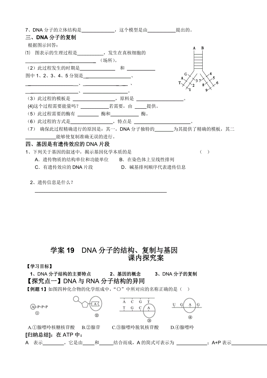 《导与练》2015届高三生物一轮复习学案：第19讲 DNA分子的结构、复制（必修2）.doc_第2页