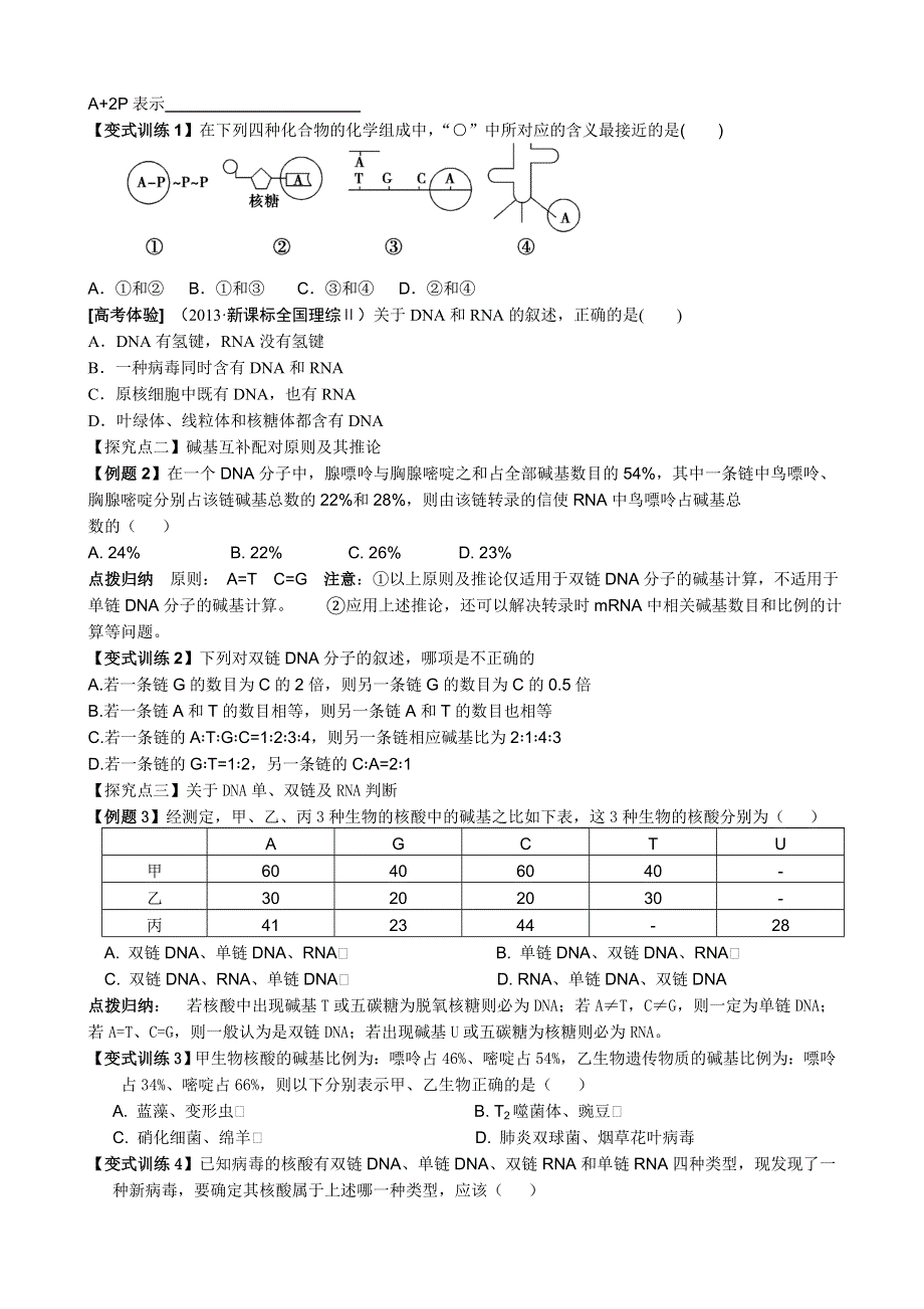 《导与练》2015届高三生物一轮复习学案：第19讲 DNA分子的结构、复制（必修2）.doc_第3页