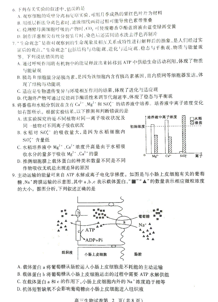 江西省宜春市上高县上高二中2021届高三上学期阶段性检测试卷生物试卷 PDF版含答案.pdf_第2页