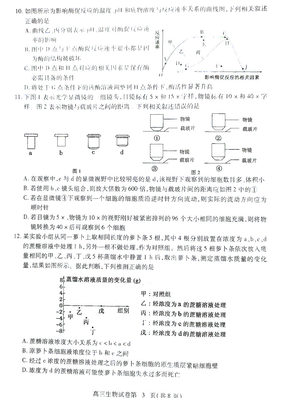 江西省宜春市上高县上高二中2021届高三上学期阶段性检测试卷生物试卷 PDF版含答案.pdf_第3页