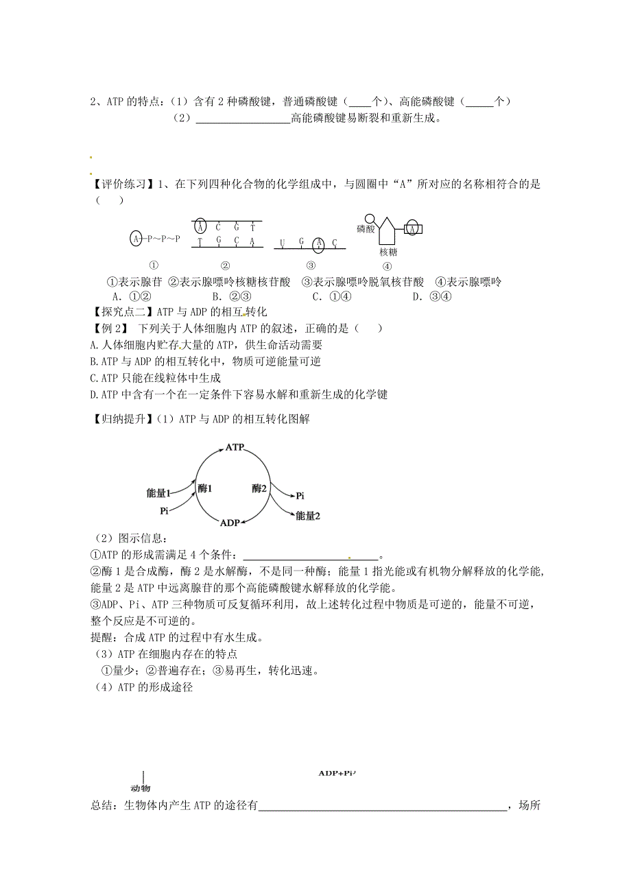 《导与练》2015届高三生物一轮总复习学案必修1：第8讲 细胞的能量通货—ATP.doc_第3页