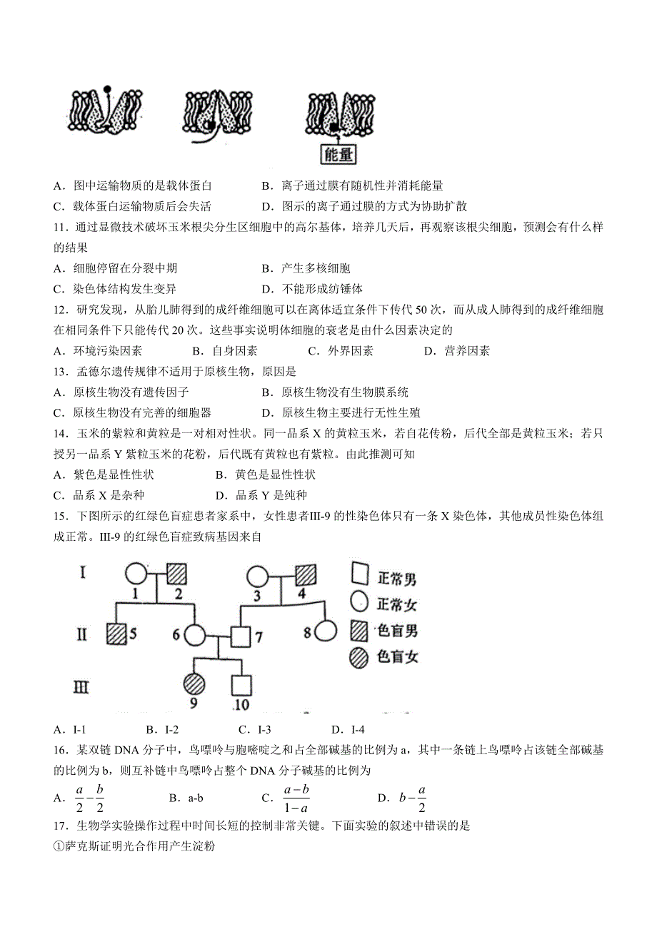 四川省德阳市2023届高三上学期第一次诊断考试 生物 WORD版含答案.docx_第2页