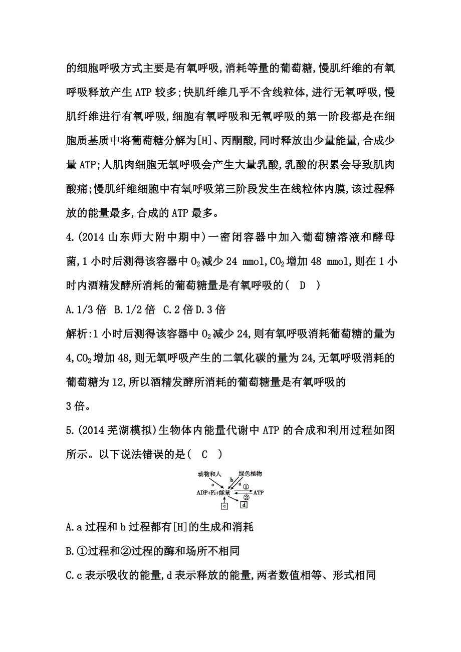 《导与练》2015届高三生物一轮总复习限时训练 第10讲　细胞的能量“通货”——ATP　ATP的主要来源——细胞呼吸 WORD版含答案.doc_第3页