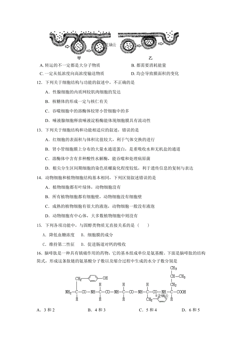 山东省泰安市第四中学2019-2020学年高一上学期期中考试生物试卷 WORD版含答案.doc_第3页