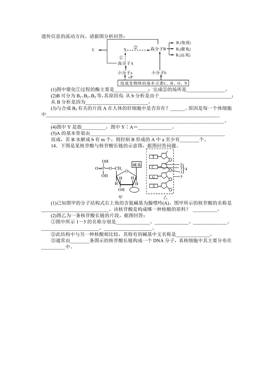 《南方新课堂》2015年高考生物总复习课时检测：必修1 第2章 第3、4节 遗传信息的携带者——核酸、细胞中的糖类和脂质.doc_第3页