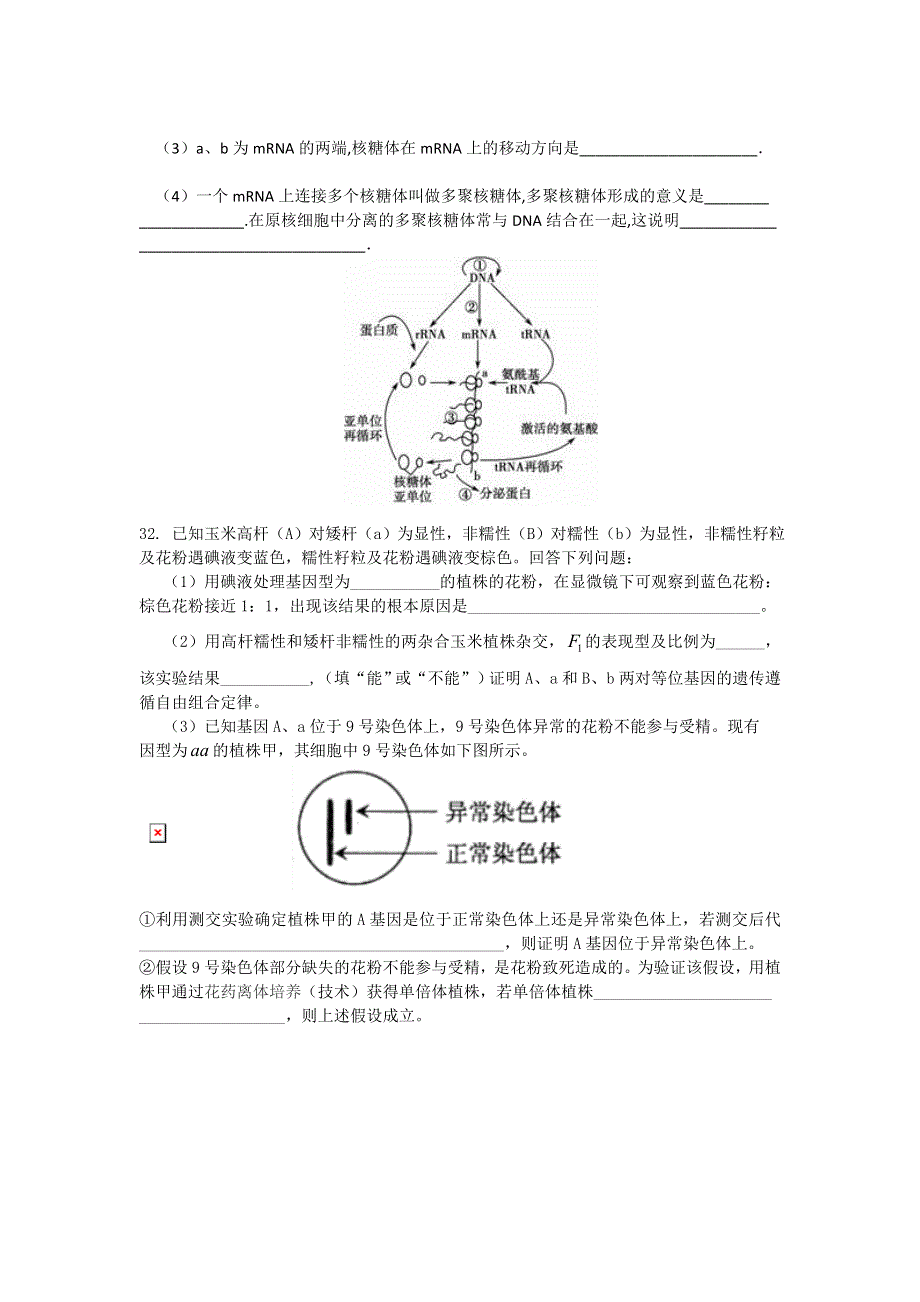 四川省绵阳市实验中学2017届高三第三次月考理科生物试题 WORD版含答案.doc_第3页