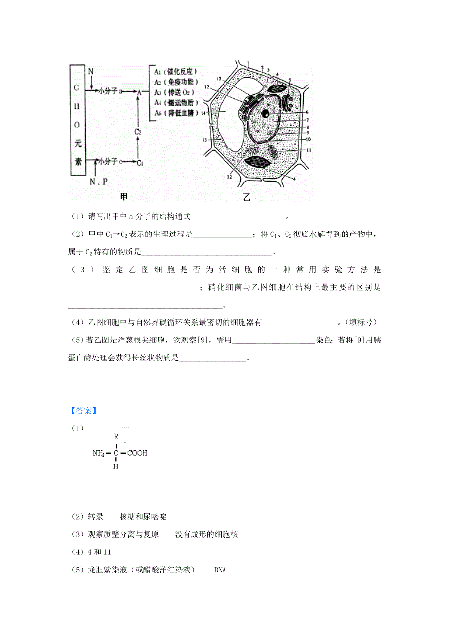 2012山东省各地高三一模生物分类汇编2：细胞的分子组成与细胞的结构（非选择题部分）.doc_第3页