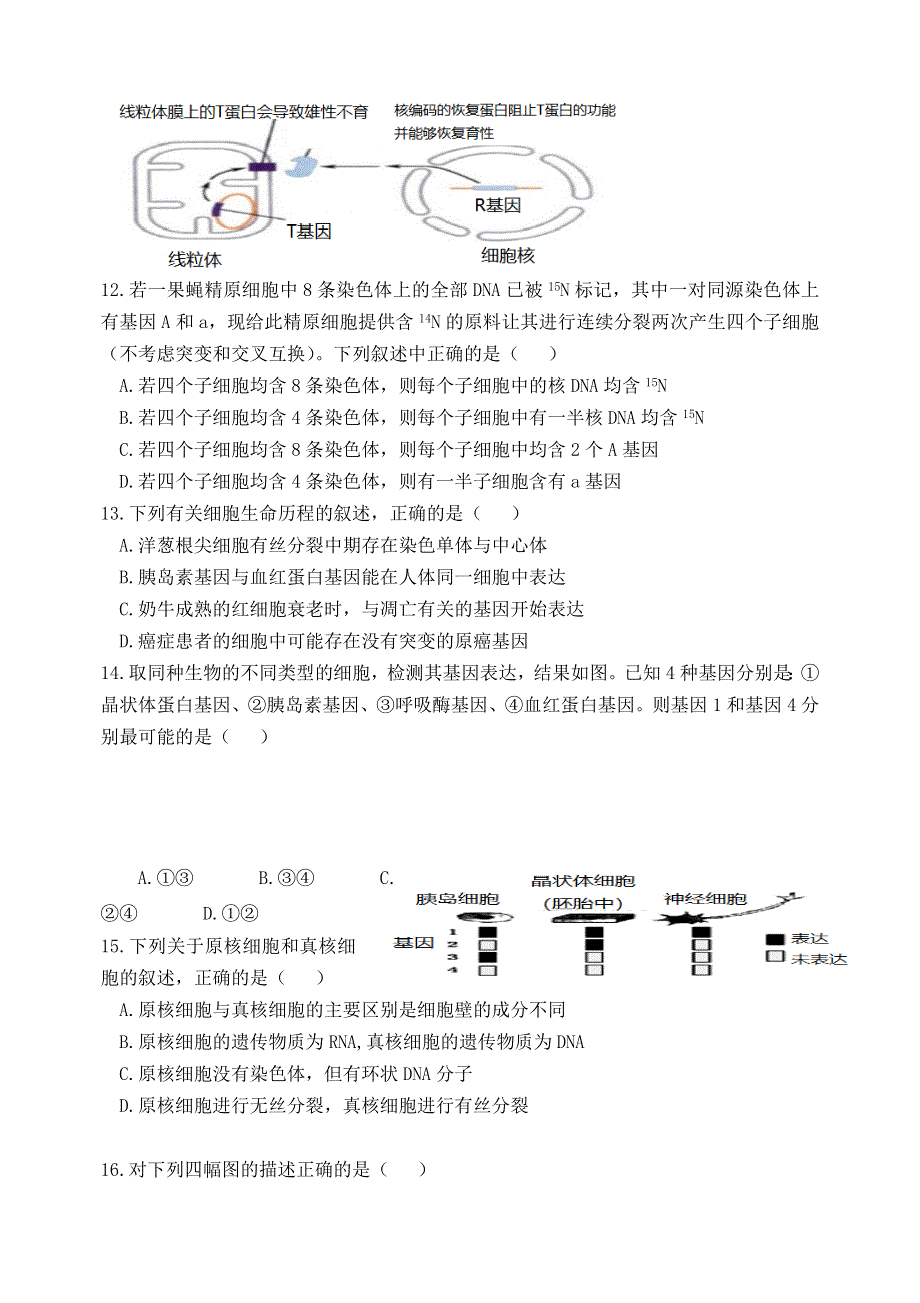 广西河池市高级中学2019届高三上学期第四次月考生物试题 WORD版含答案.doc_第3页