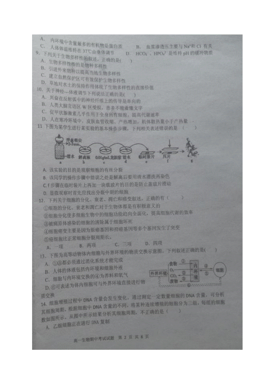 广西浦北中学2019-2020学年高一下学期期中考试生物试题 PDF版含答案.pdf_第2页